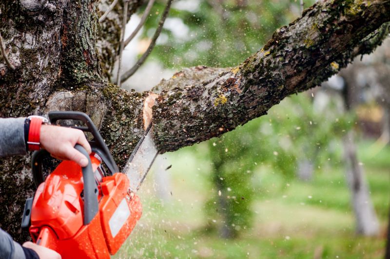 Tree Cutting Service