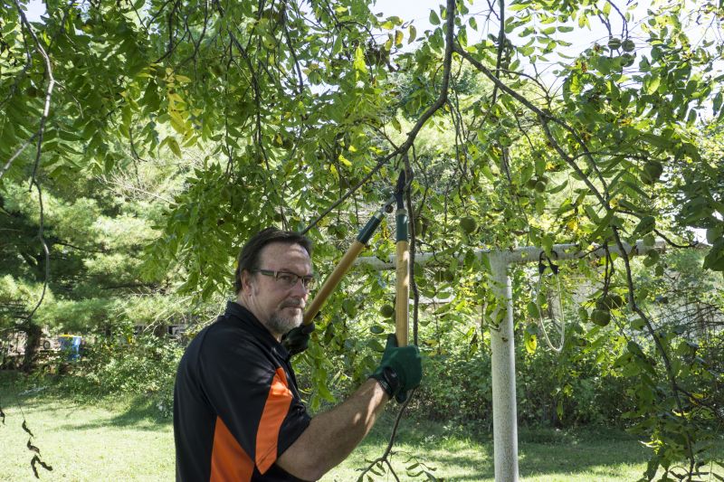 Tree Pruning Techniques